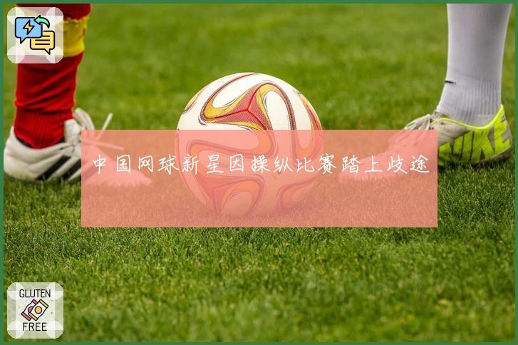 中国网球新星因操纵比赛踏上歧途