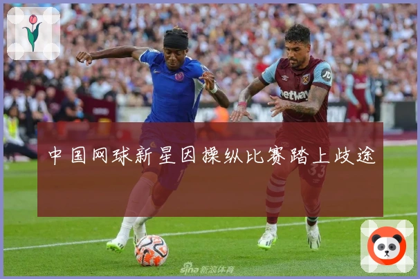 中国网球新星因操纵比赛踏上歧途