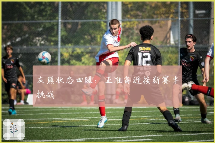 灰熊状态回暖，正准备迎接新赛季挑战